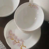ارکوپال