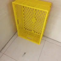 سبد