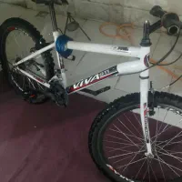 ویوا24