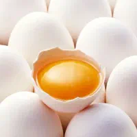 سفیده و زرده و مخلوط تخم مرغ