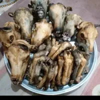کله پاچه  وسیراب شیردان