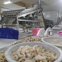 استخدام کارگر خانم فرآوری میگو با حقوق بالا