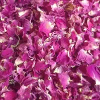 گل محمدی