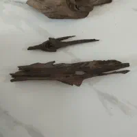 سه قطعه چوب آبنوس آکواریوم