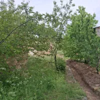 زمین مسکونی