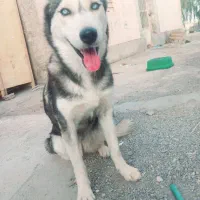 ۱۰۰۰۰۰۰ یک میلیون