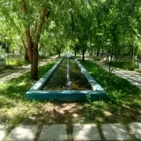 استخدام سوخاری زن حرفه ایی