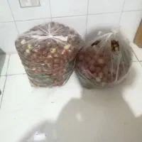 عناب تازه