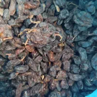 مویز گوشتی
