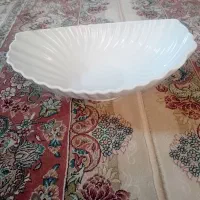 دیس میوه خوری