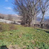 قطعه زمین