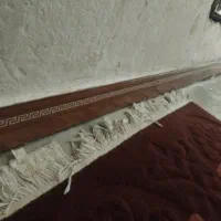 استخدام