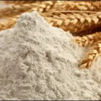 آرد سفید  دانه سایان موجوده