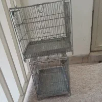 قفس سهره