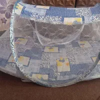 پشه بند