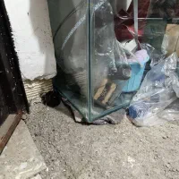 آکواریوم