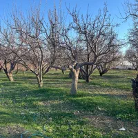 ۲۵۰ متر زمین سند تک برگ دماوند جابان