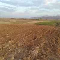 زمین-کشاورزی-فریدونشهر-خوشجا