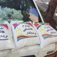 فروش برنج ایرانی فردونکنار
