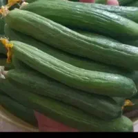 خیار‌ قلمی