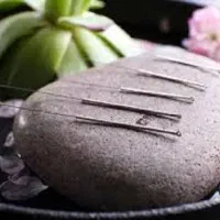 آموزش تخصصی طب سوزنی با مدرک فنی حرفه ای