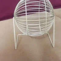 چرخ و فلک همستر