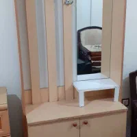 جاکفشی آینه و پرده زبرا