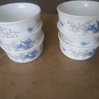 پیاله ارکوپال