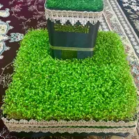 سبزه کعبه مکه حجاج