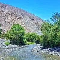 تورماهان وجوپارپنج شنبه ۲۸خرداد