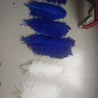 پرسفیدعلامت