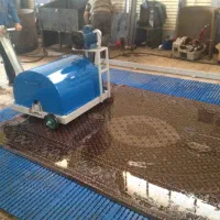 شلاقزن فرش برای قالیشویی