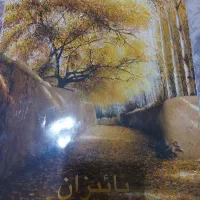 اثار رضا سیدی پاییزان