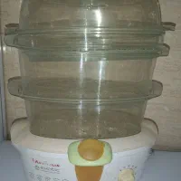 بخار پز رژیمی مولینکس اصل