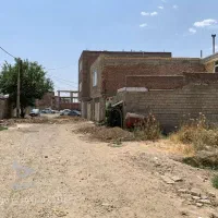 زمین ارزوئیه