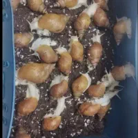 حلزون
