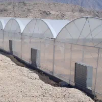 فروش عمده پلاستیک گلخانه و صنعتی تولید مستقیم|عمدهفروشی|فشاپویه, |دیوار