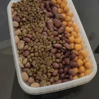 مواد آش آماده جالیز|خوردنی و آشامیدنی|نیشابور, دارایی|دیوار