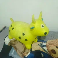 اسب بادی