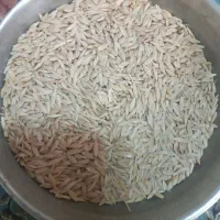 جوسهند