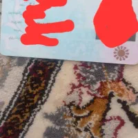 کارت ملی وتمام کارت بانکی دریک کیف قهوه ای گم شده