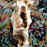 سنگ  تزیینی