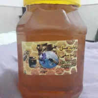 عسل شاه جهان اسفراین