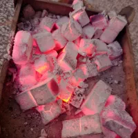 فروش  زغال حبه ای