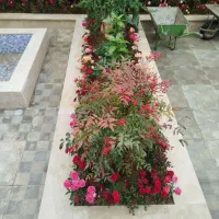 خدمات باغبانی در سراسر کرج پذیرفته میشود