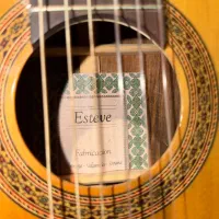 گیتار esteve