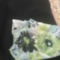 دوعددچادررنگی وسیاه گمشده