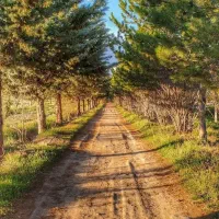 تور کویر ۲۴نفره