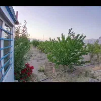 فروش-باغ-احمد-آباد-کته