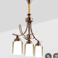 لوستر یک جفت در حد نو